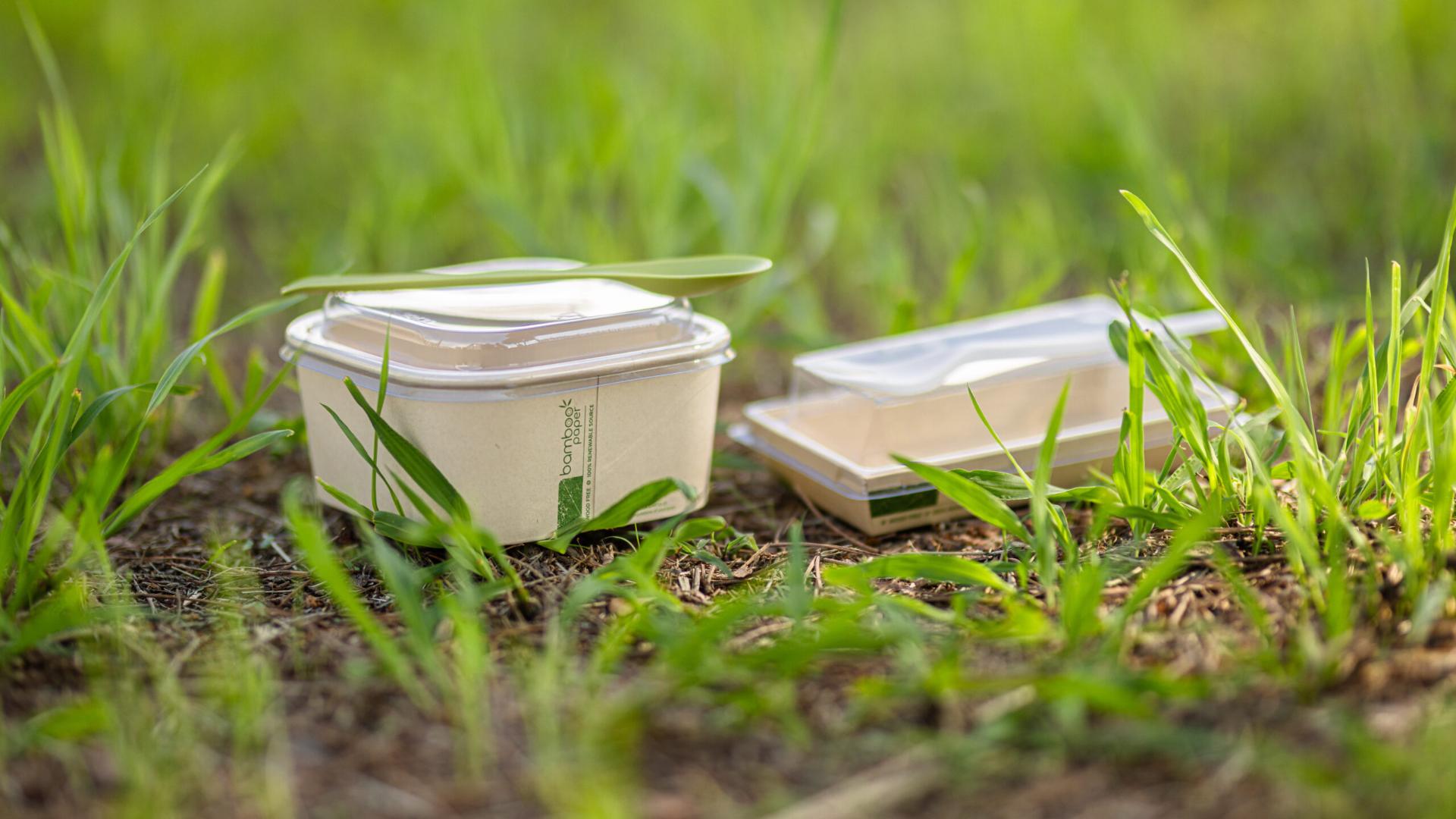 Due vaschette per il food in carta avana con coperchio trasparente e posate, appoggiate sull’erba